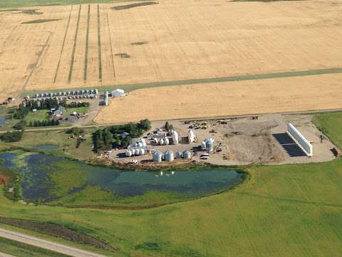 Mercer Seeds Ltd Mercer Seeds Ltd